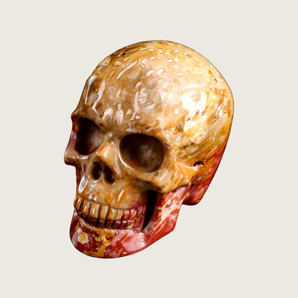 2.2" Agatized Coral Crystal Skull Carving  #SKH22041