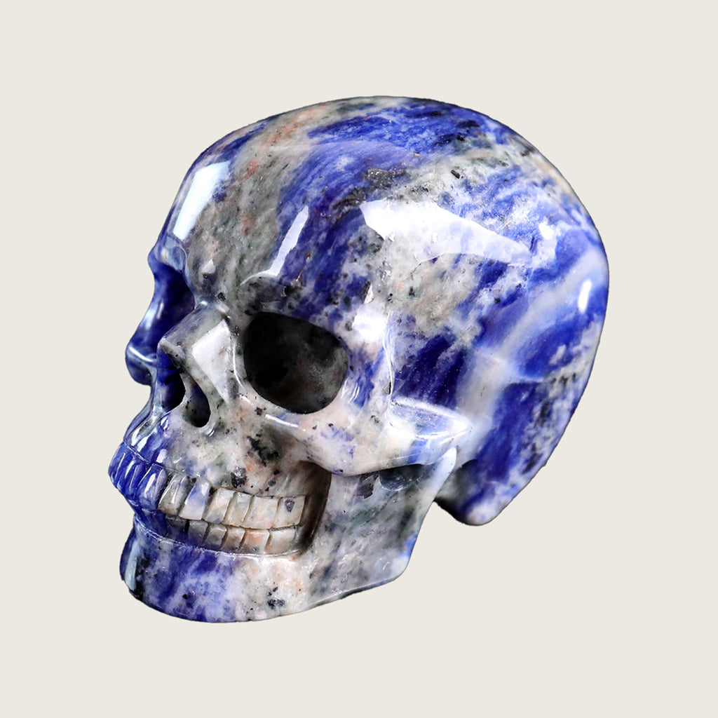 3.0" Sodalite Human Skull Carving  #SKH30002