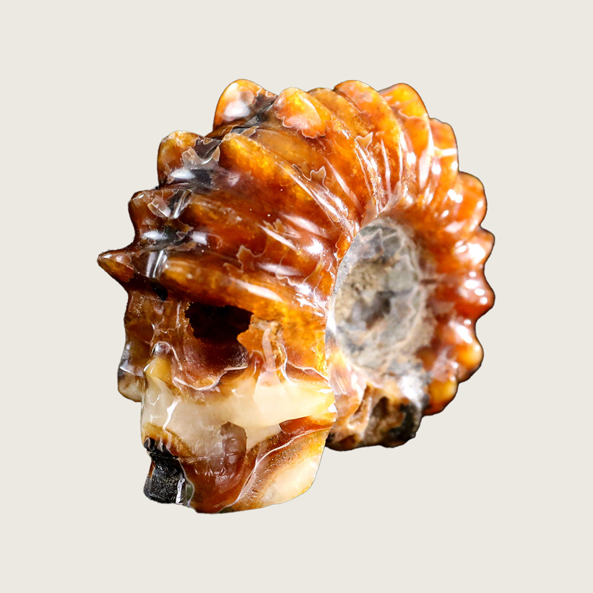 2.3" Foraminifera Fossil Skull Carving  #SCS0021