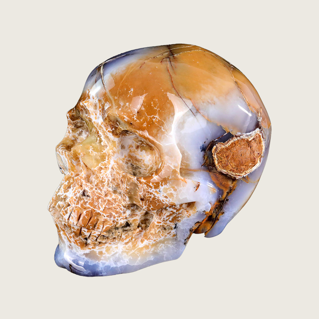 8.6" Chalcedony Crystal Skull Carving  #SCS0020