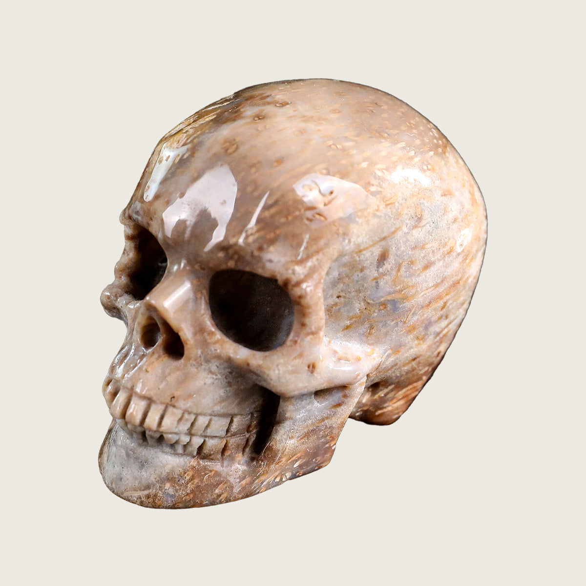 2.2" Coral Fossil Jade Crystal Skull Carving  #SKHCF2201