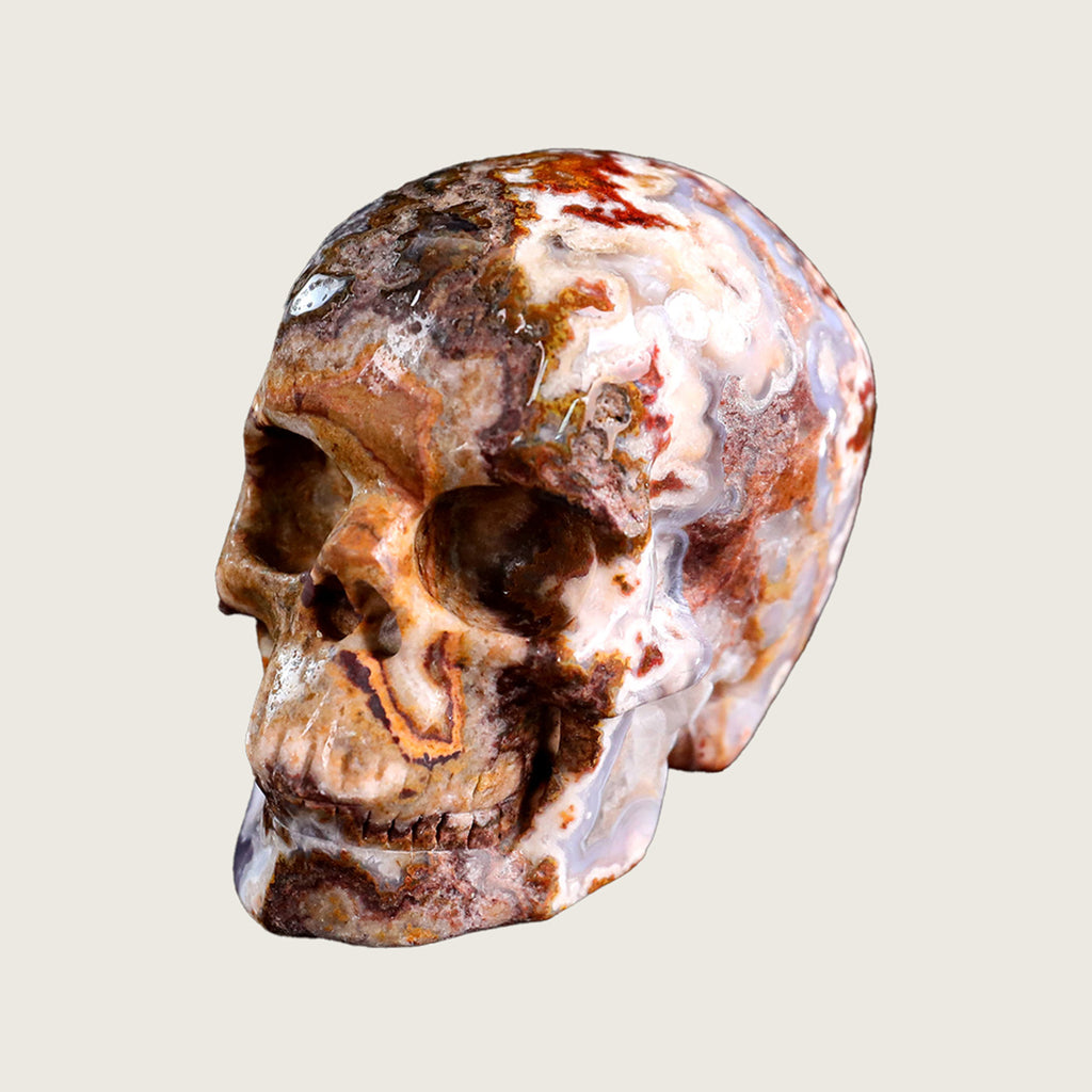 3.0" Red Crazy Lace Agate Crystal Skull Carving  #SKH30033