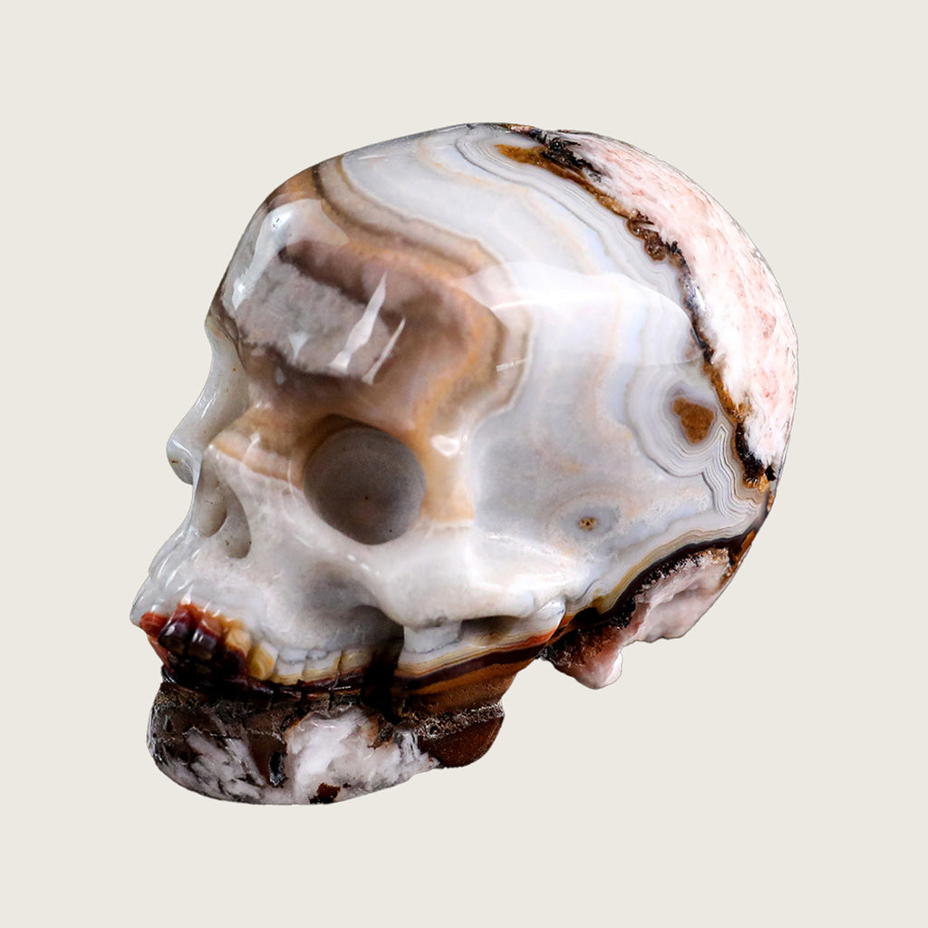 2.2" Red Crazy Lace Agate Human Skull Carving  #SKH22009
