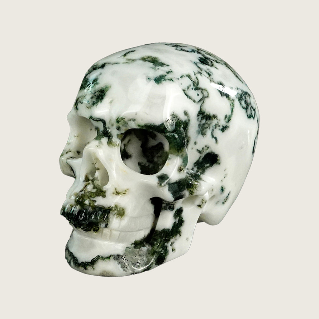 3.0" Moss Agate Crystal Skull Carving  #SKH30070