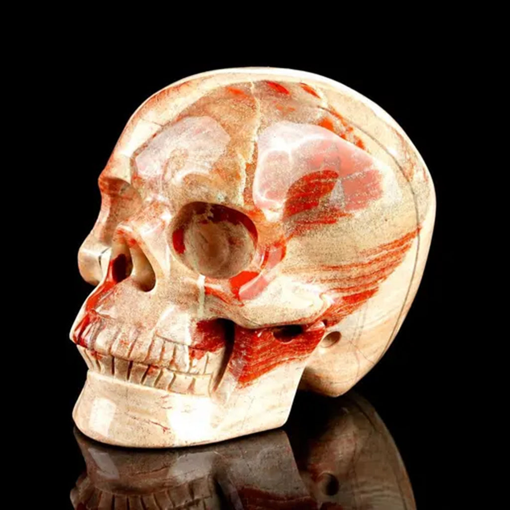 3.0" Red Jasper Crystal Skull Carving  #SKH30121