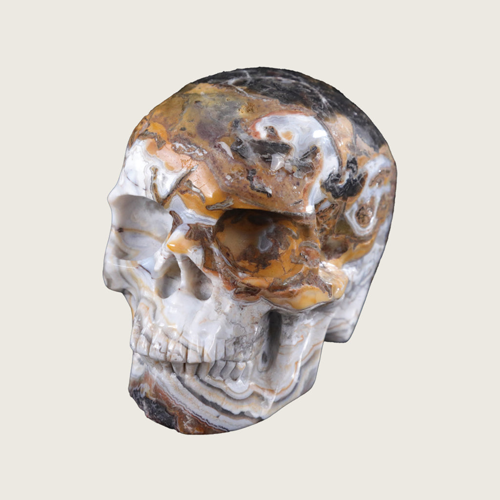 4.5" Red Crazy Lace Agate Human Skull Carving  #SKH45004