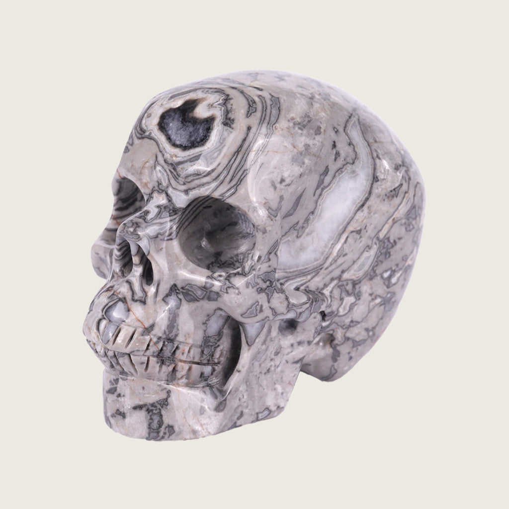 3.0" Crocodile Jasper Crystal Skull Carving  #SKH30036