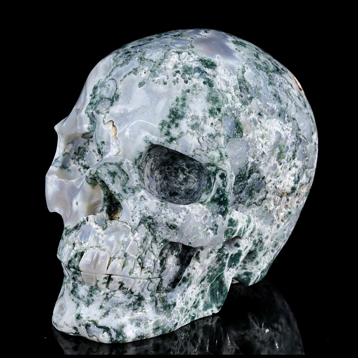 8.0" Moss Agate Crystal Skull Carving  #SCS0024