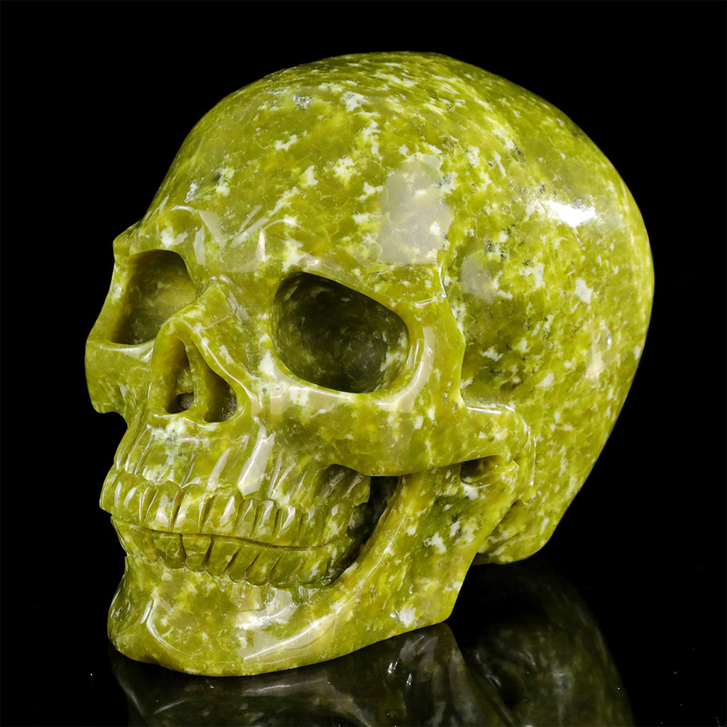 8.0" Serpentine Jade Crystal Skull Carving  #SCS0025