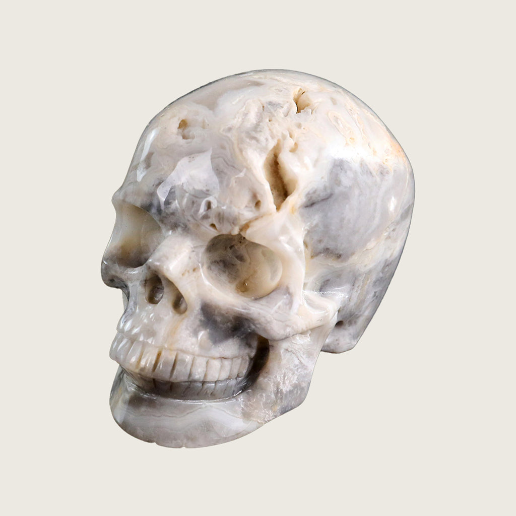 3.0" Crazy Lace Agate Crystal Skull Carving  #SKH30039