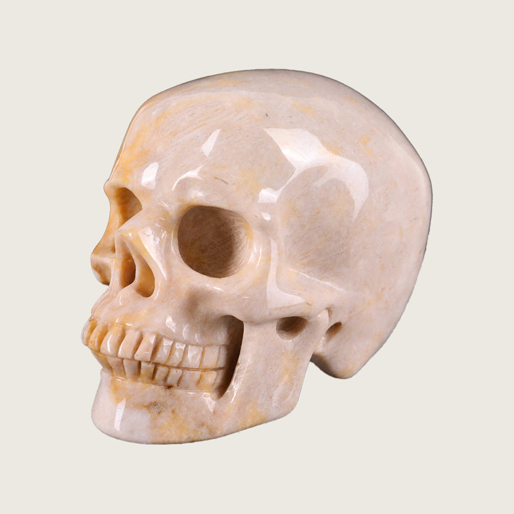3.0" Coral Fossil Jade Human Skull Carving  #SKH30018