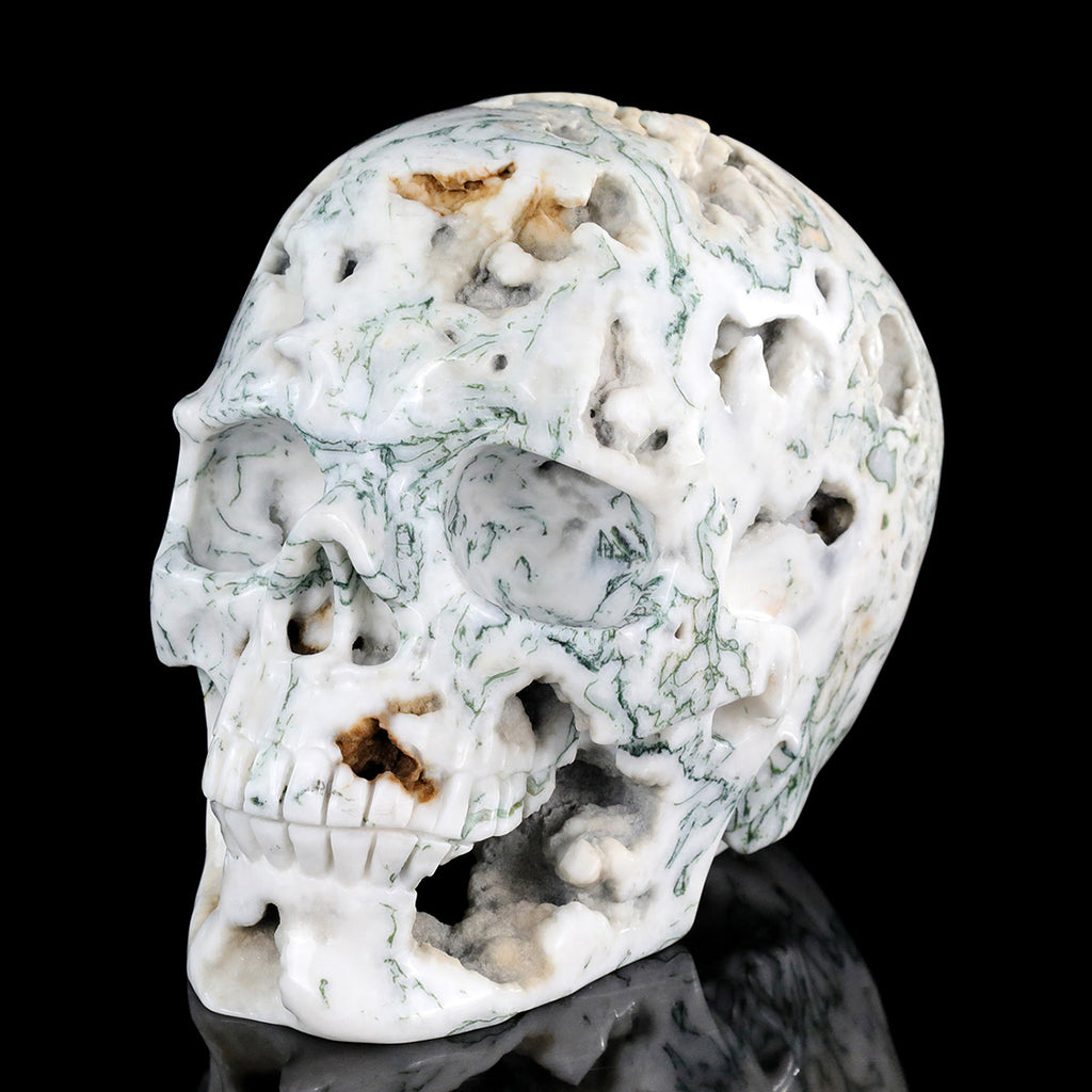 9.0" Moss Agate Crystal Skull Carving  #SCS0029