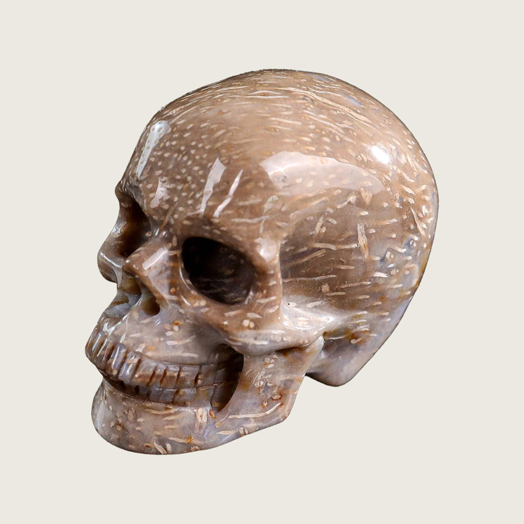 2.2" Coral Fossil Jade Human Skull Carving  #SKH22011
