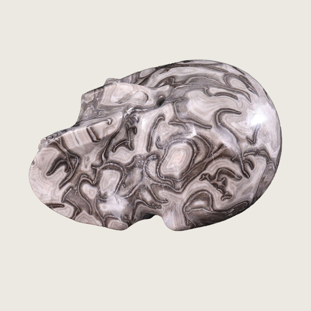 4.5" Black Crazy Agate Crystal Skull Carving  #SKH45015