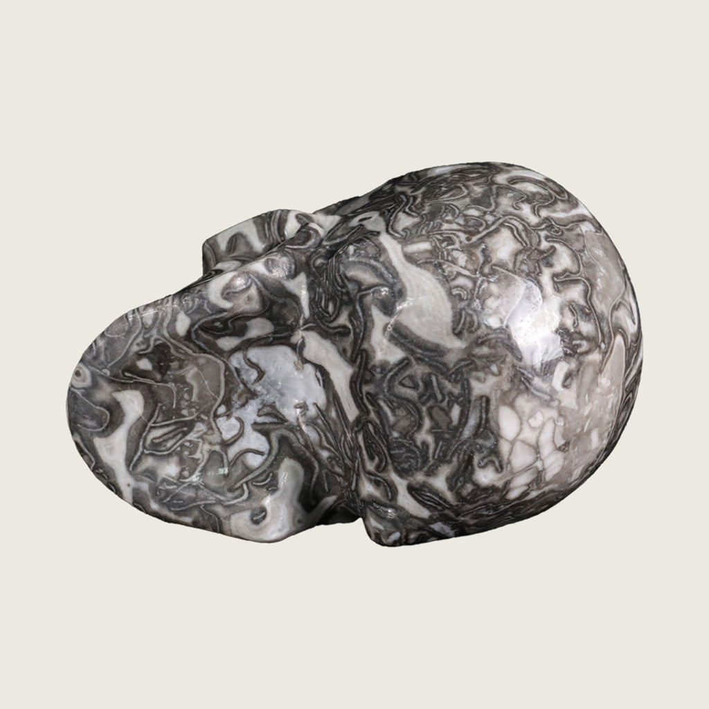 4.5" Black Crazy Agate Crystal Skull Carving  #SKH45011