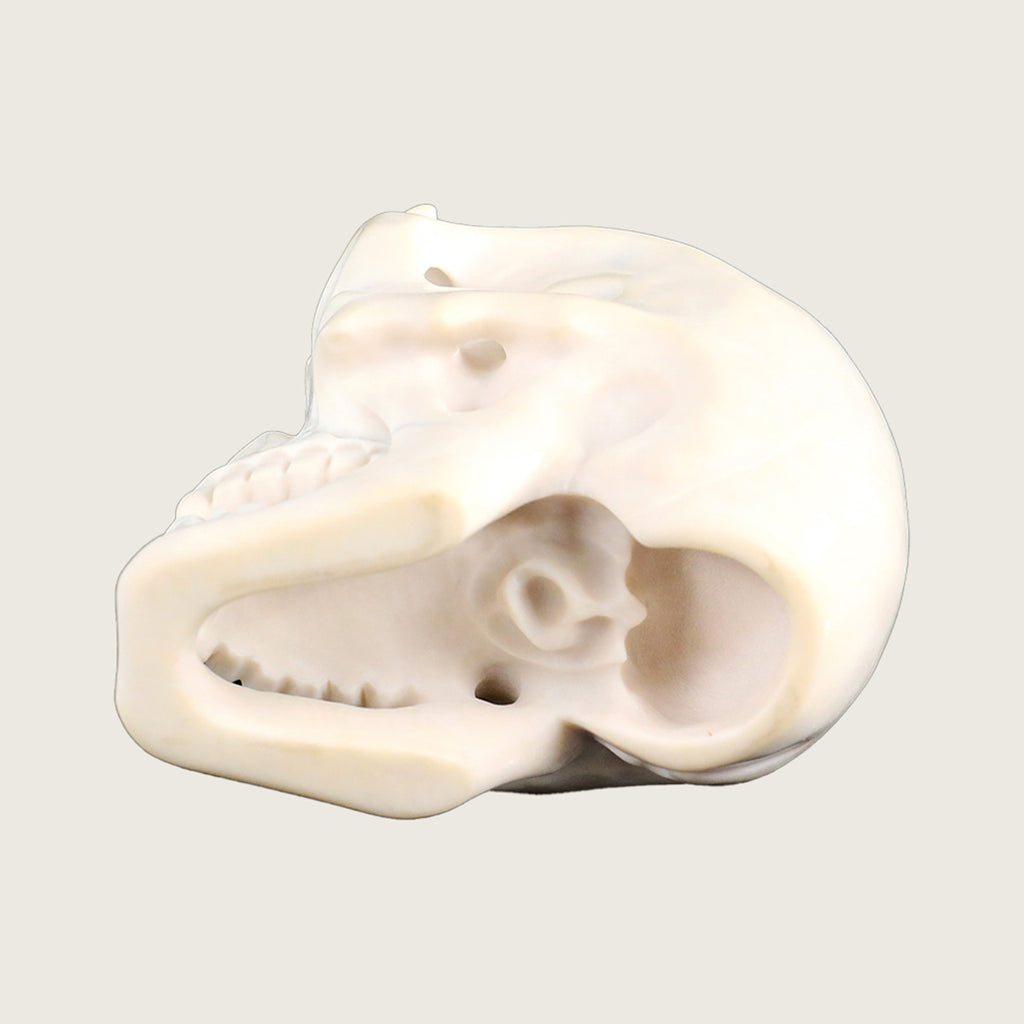 4.0" White Jade Crystal Skull Carving  #SCS0019