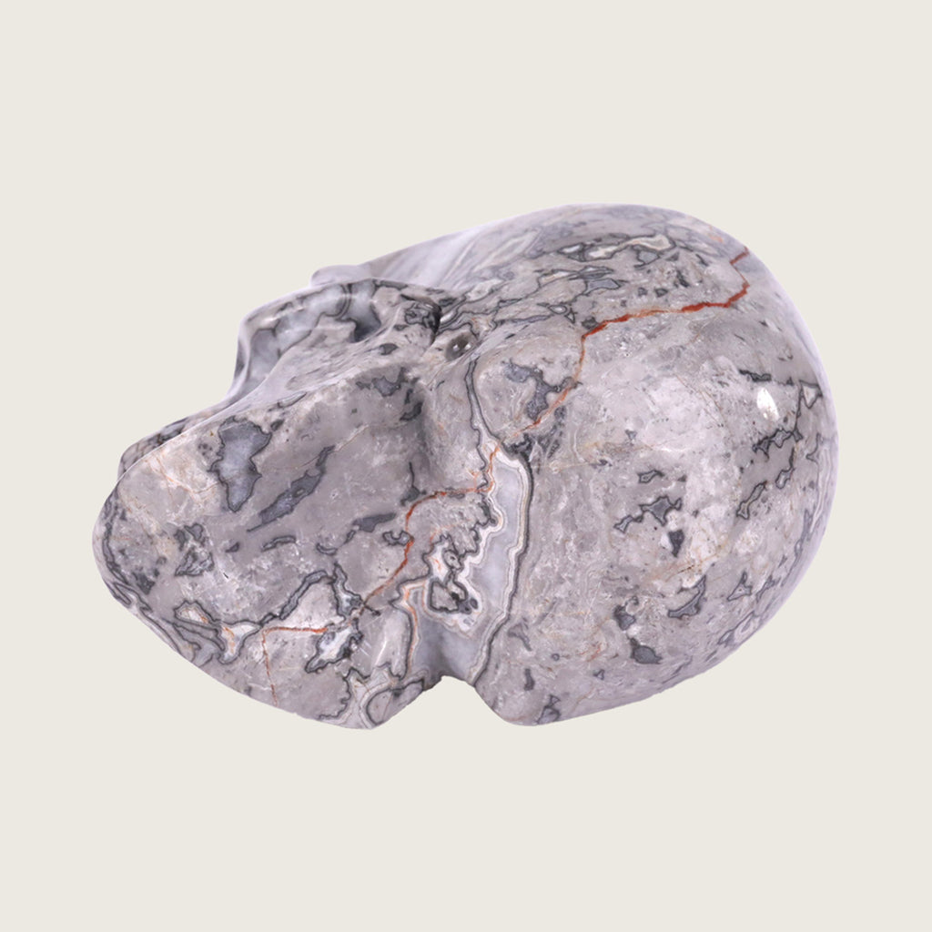 3.0" Crocodile Jasper Crystal Skull Carving  #SKH30036