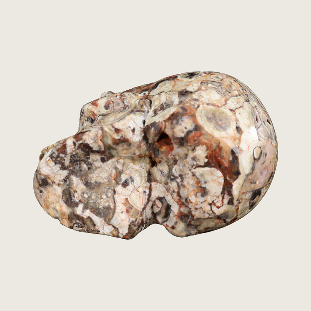 4.5" Coin Agate Crystal Skull Carving  #SKH45025