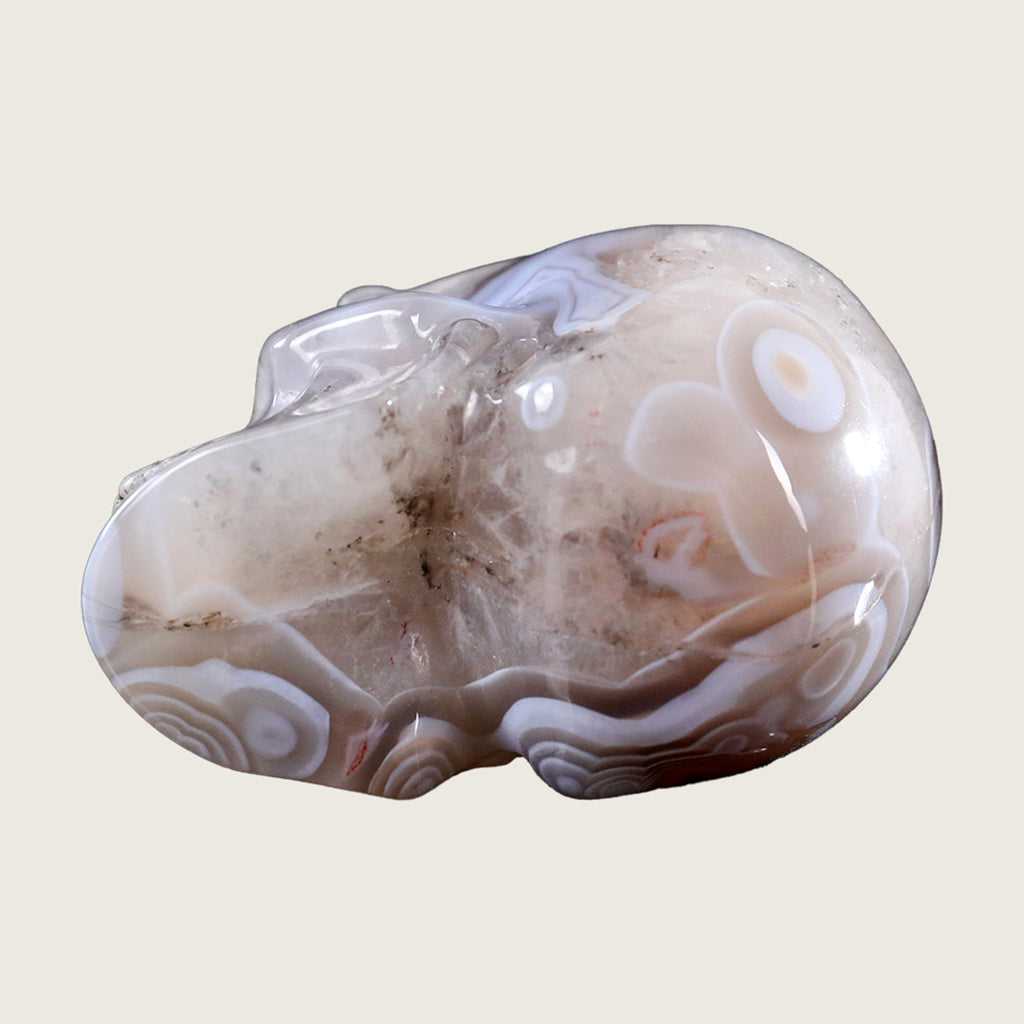 3.0" Red Crazy Lace Agate Human Skull Carving  #SKH30010