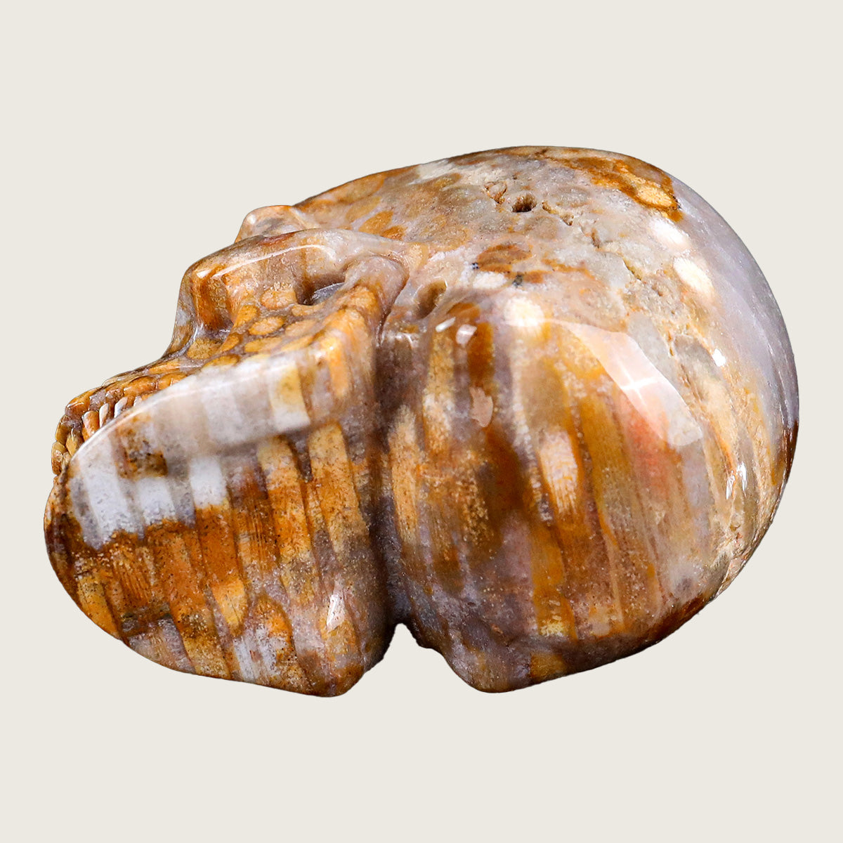 3.0" Coral Fossil Jade Crystal Skull Carving  #SKHCF3001