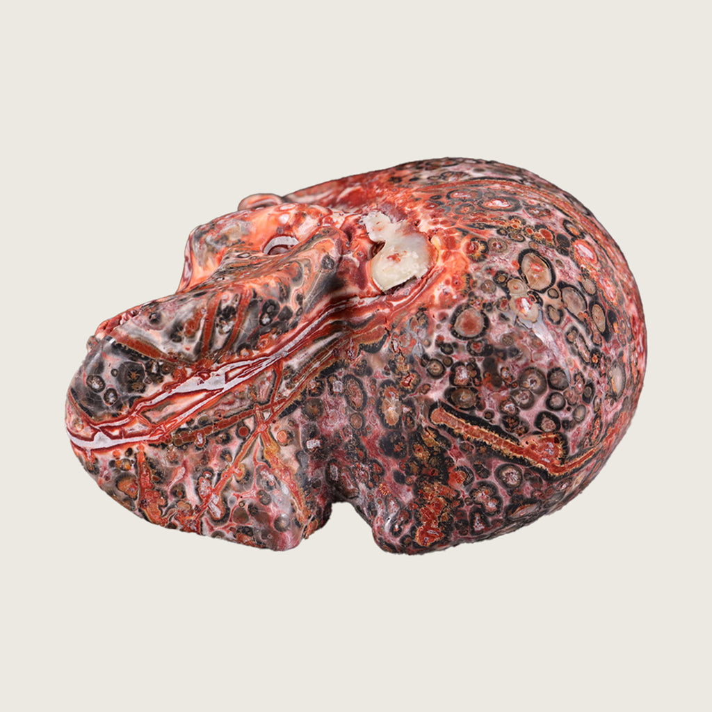 3.0" Red Leopard Skin Human Skull Carving  #SKH30017