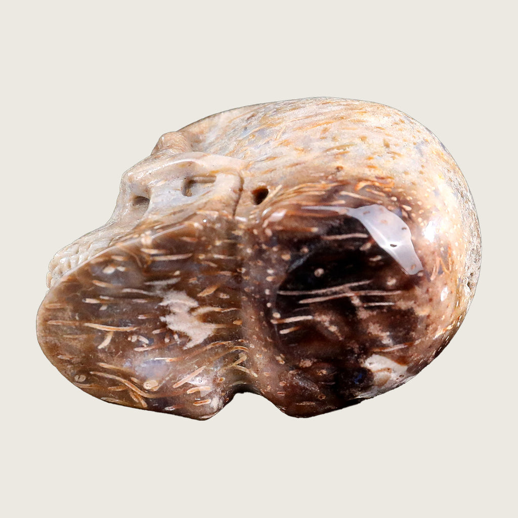 2.2" Coral Fossil Jade Crystal Skull Carving  #SKHCF2201