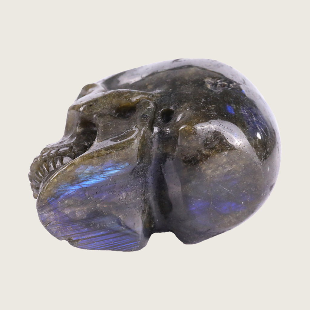 3.0" Blue Labradorite Human Skull Carving  #SKH30015