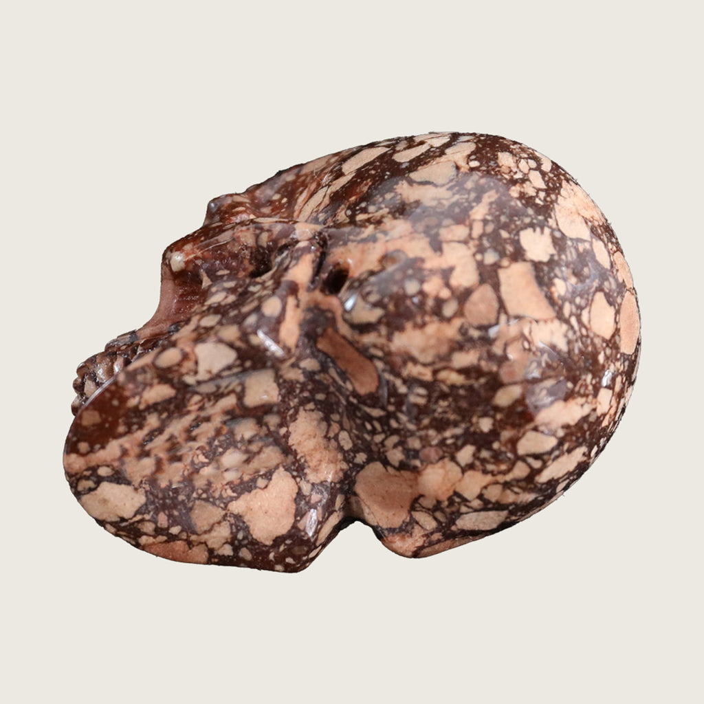 3.0" Coffee Stone Crystal Skull Carving  #SKH30059