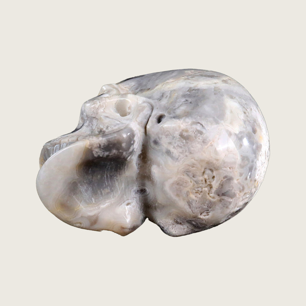 3.0" Crazy Lace Agate Crystal Skull Carving  #SKH30039