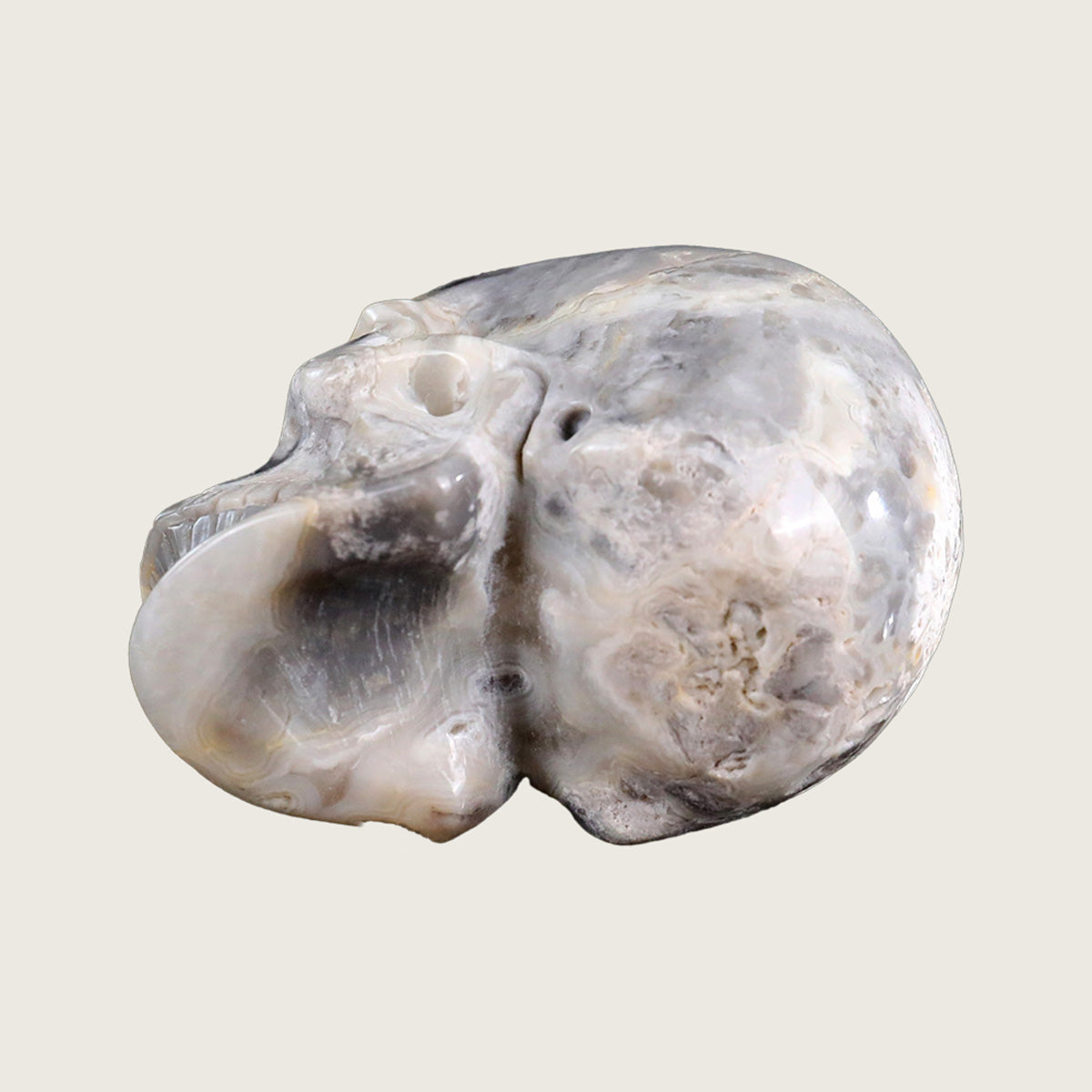 3.0" Crazy Lace Agate Crystal Skull Carving  #SKH30039