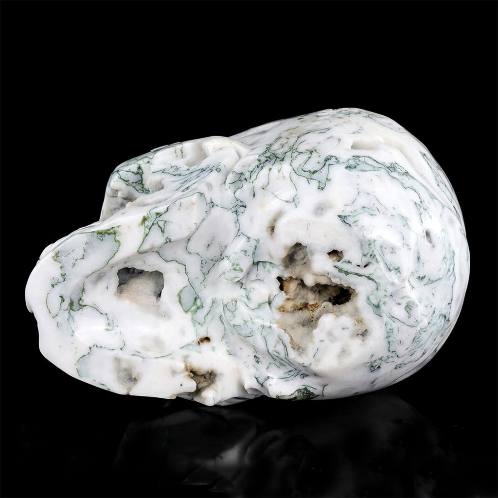 9.0" Moss Agate Crystal Skull Carving  #SCS0029