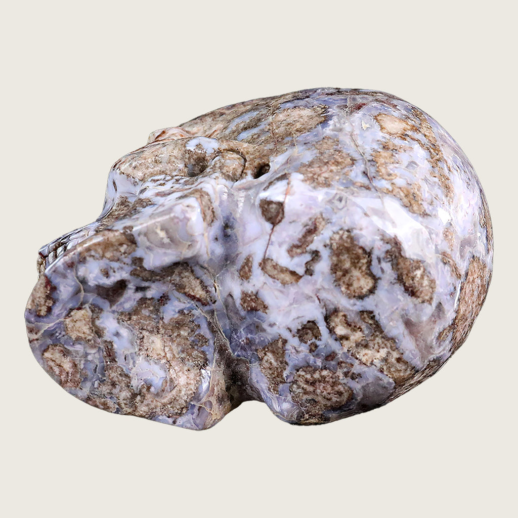 3.0" Blue Flower Agate Crystal Skull Carving  #SKHBF3001