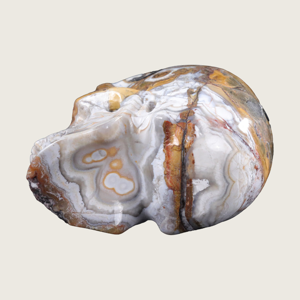4.5" Red Crazy Lace Agate Human Skull Carving  #SKH45004