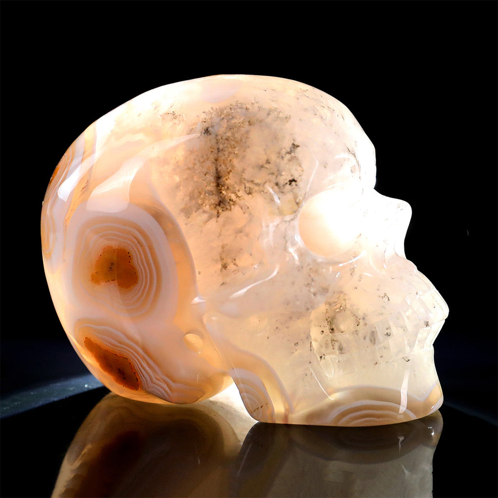 3.0" Red Crazy Lace Agate Human Skull Carving  #SKH30010