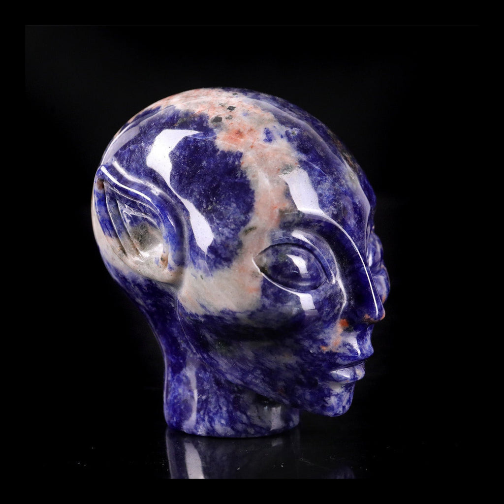 3.0" Sodalite Alien Skull Carving  #CSC0030