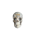 2.2" Blue Flower Agate Crystal Skull Carving - Unique Piece #BF01