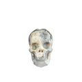 2.2" Blue Flower Agate Crystal Skull Carving - Unique Piece #BF02