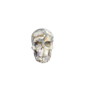 2.2" Blue Flower Agate Crystal Skull Carving - Unique Piece #BF04