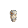 2.2" Blue Flower Agate Crystal Skull Carving - Unique Piece #BF07