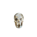 2.2" Blue Flower Agate Crystal Skull Carving - Unique Piece #BF08