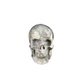 2.2" Blue Flower Agate Crystal Skull Carving - Unique Piece #BF14