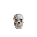 2.2" Blue Flower Agate Crystal Skull Carving - Unique Piece #BF18