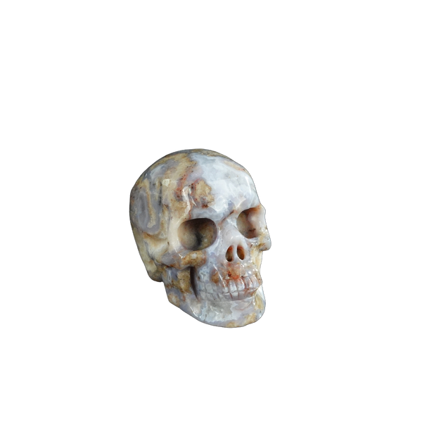 2.2" Blue Flower Agate Crystal Skull Carving - Unique Piece #BF18 - alternate view