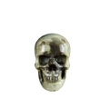 2.2" Nine Dragon Jade Crystal Skull Carving - Unique Piece #HA05