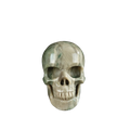 2.2" Nine Dragon Jade Crystal Skull Carving - Unique Piece #HA07