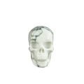 2.2" Howlite Crystal Skull Carving - Unique Piece #HL03