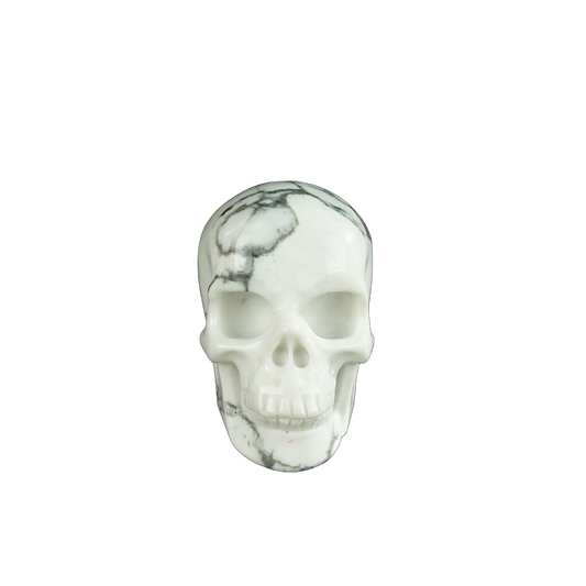 2.2" Howlite Crystal Skull Carving - Unique Piece #HL03