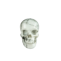 2.2" Howlite Crystal Skull Carving - Unique Piece #HL05
