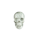 2.2" Howlite Crystal Skull Carving - Unique Piece #HL08