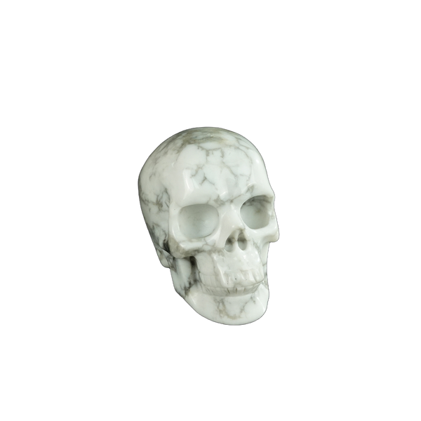 2.2" Howlite Crystal Skull Carving - Unique Piece #HL08 - alternate view
